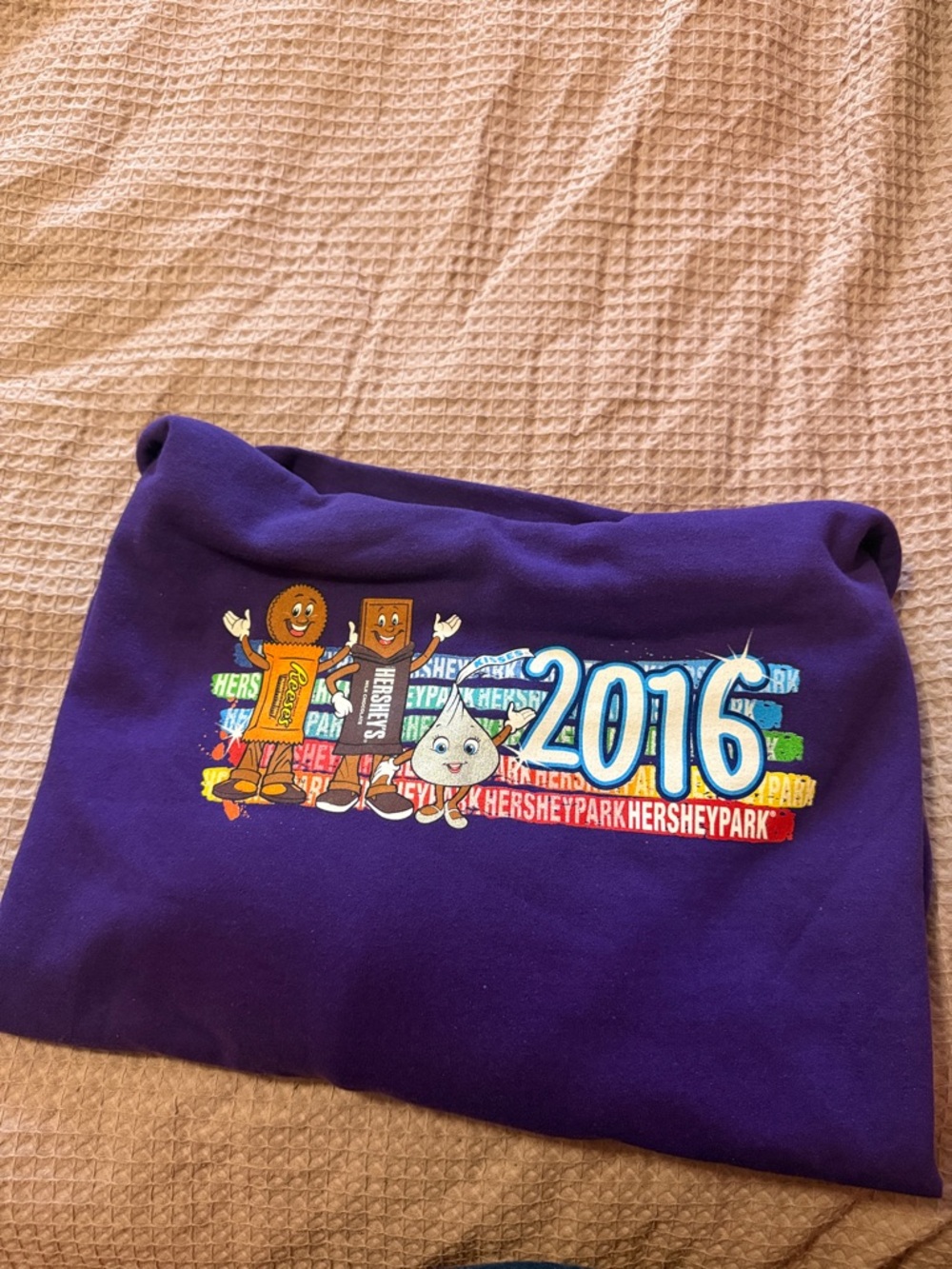 Hersheypark 2016 Purple Souvenir Sweatshirt